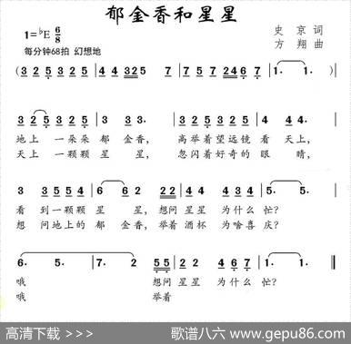 郁金香和星星 - 史京|方翔