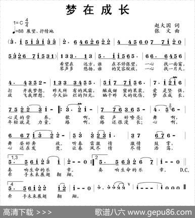 梦在成长 - 赵大国|张文