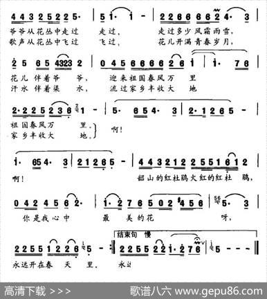 韶山的杜鹃花 - 李波|邓少文