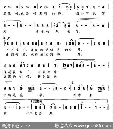 五月的茉莉 - 罗晓航|曹贤邦