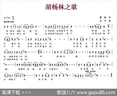 胡杨林之歌 - 霜凝|远年