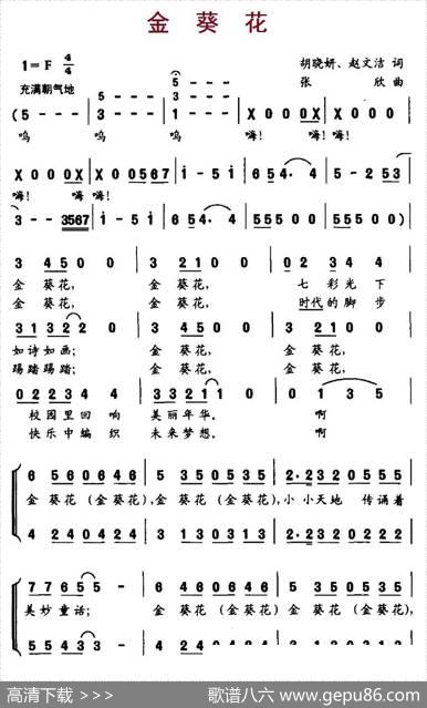 金葵花（合唱） - 胡晓妍、赵文洁|张欣