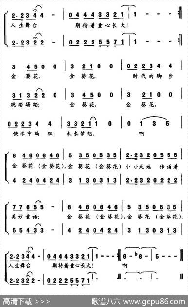 金葵花（合唱） - 胡晓妍、赵文洁|张欣