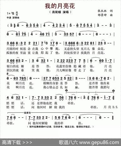 我的月亮花 - 张木林|邰景坤