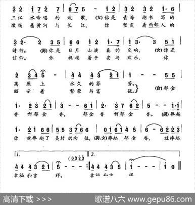 郁金香之歌 - 冯琳|肖国全