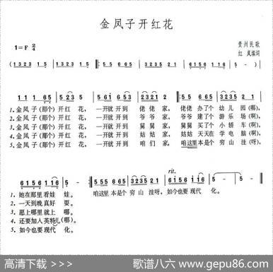 金凤子开红花 - 红岚