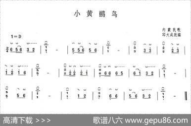 小黄鹂鸟