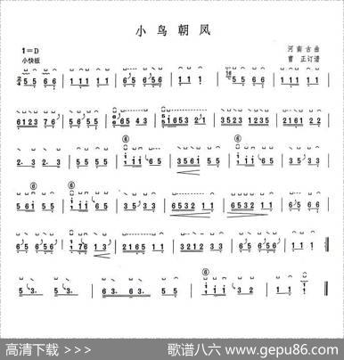 小鸟朝凤|曹正订谱