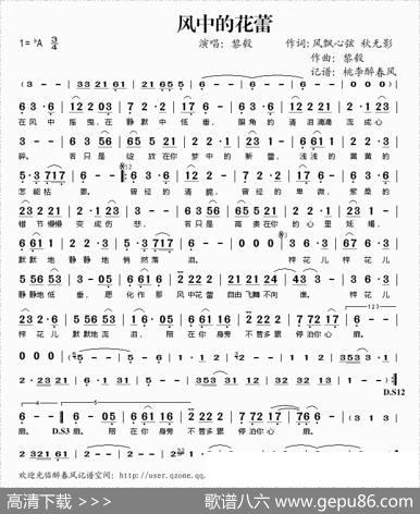 风中的花蕾