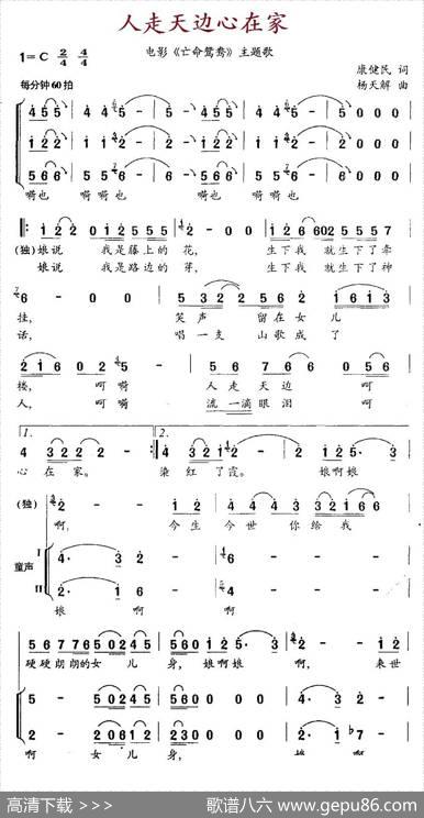 人走天边心在家（电影《亡命鸳鸯》主题歌） - 康健民|杨天解