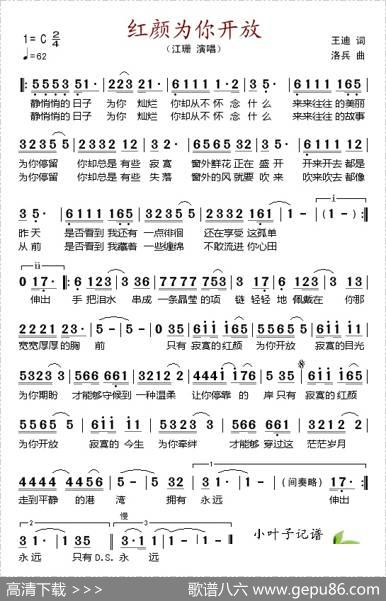 红颜为你开放