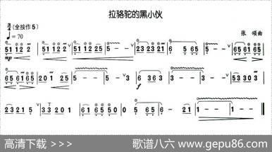 拉骆驼的黑小伙|张颂