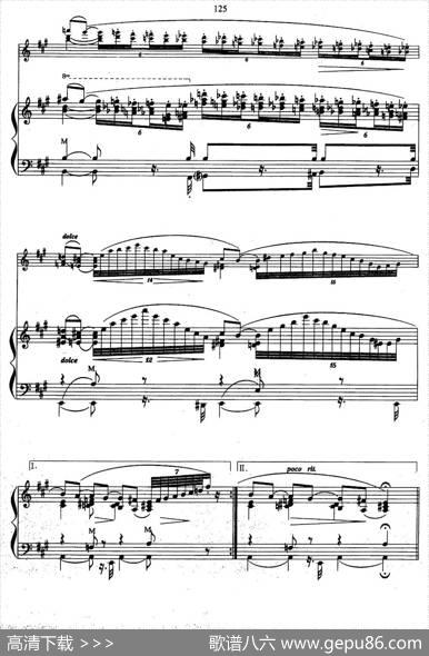 帕格尼尼主题音乐会练习曲（6—10）|[德]H·布莱梅