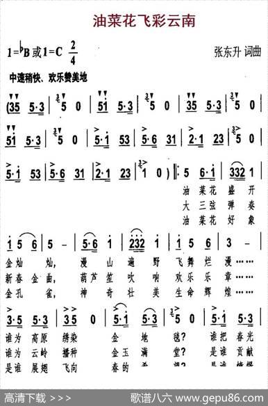 油菜花飞彩云南 - 张东升|张东升