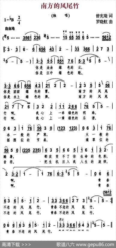 南方的凤尾竹 - 曾宪瑞|罗晓航
