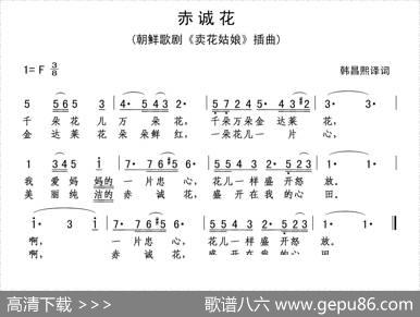 [朝鲜]赤诚花