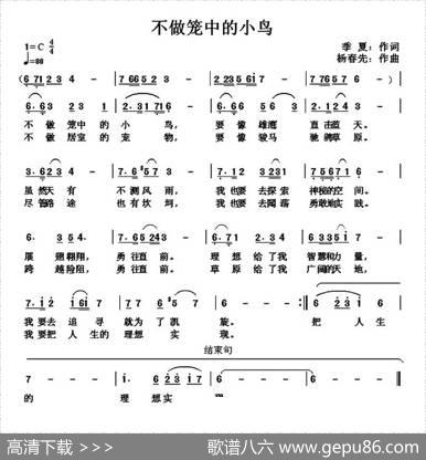 不做笼中的小鸟 - 季夏|杨春先