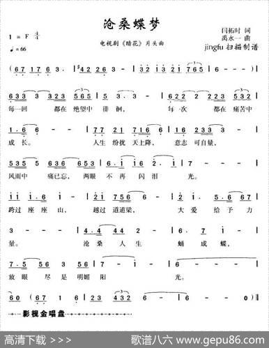 沧桑蝶梦（电视剧《暗花》片头曲） - 闫拓石|禹永一