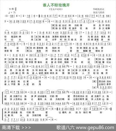 谁人不盼玫瑰开（男女声对唱） - 华峰凯琪|海浪飞歌