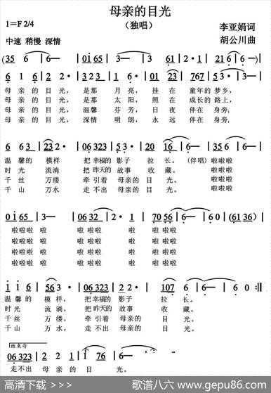 母亲的目光（李亚娟词胡公川曲） - 李亚娟|胡公川