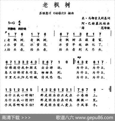 老枫树（俄）
