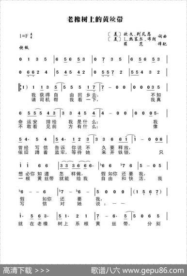老橡树上的黄丝带（美）