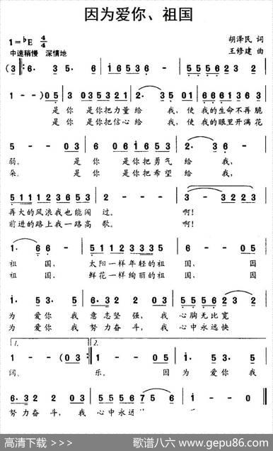 因为爱你、祖国 - 胡泽民|王修建