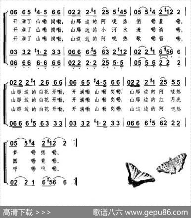 山那边的白花开了（组合演唱） - 周枫|周枫