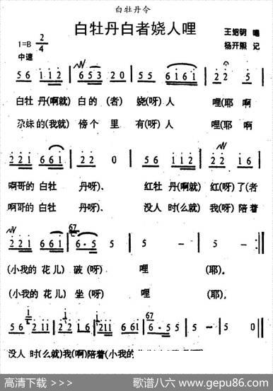 白牡丹白者娆人哩（青海花儿·白牡丹令）