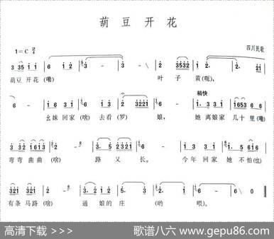 葫豆花开