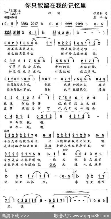你只能留在我的记忆里 - 张启利|王平