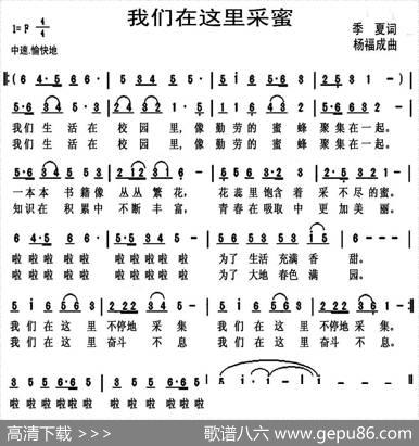 我们在这里采蜜（季夏词杨福成曲） - 季夏|杨福成