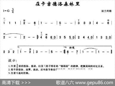 在卡吉德洛森林里