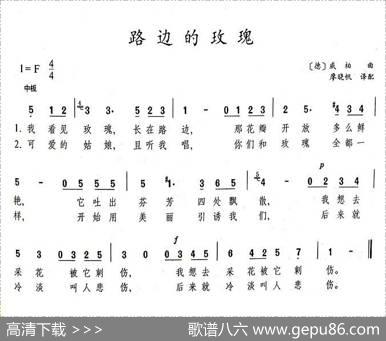 路边的玫瑰（德）|威柏