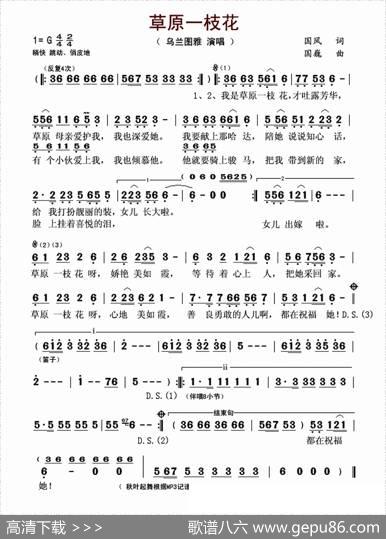 草原一枝花 - 国风|国巍