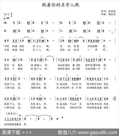 枕着你的名字入眠（又名：今夜枕着你的名字入眠） - 张效密|杨东亮