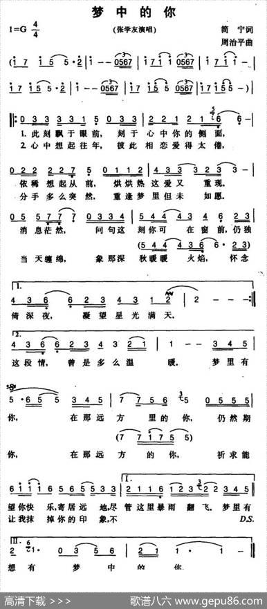 梦中的你（又名：梦不到你） - 周治平简宁|周治平