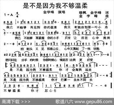 是不是因为我不够温柔 - 晓枫金学峰|金学峰