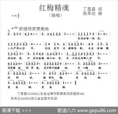 红梅精魂（丁恩昌词张朱论曲） - 丁恩昌|张朱论