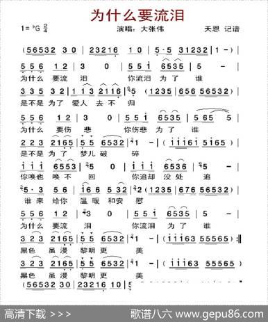 为什么要流泪（大张伟演唱版）