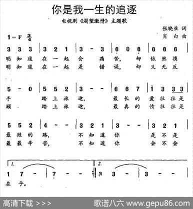 你是我一生的追逐（电视剧《渴望激情》主题歌） - 张晓亚|肖白
