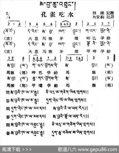 孔雀吃水（藏族民歌、藏文及音译版）