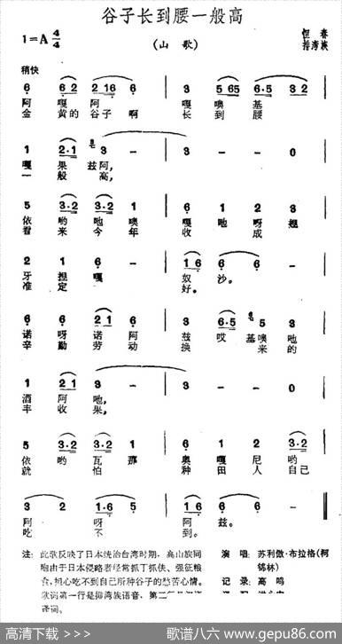 谷子长到腰一般高（台湾恒春排湾族山歌）