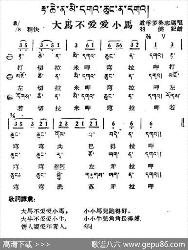 大马不爱爱小马（藏族民歌、藏文及音译版）