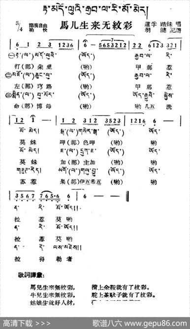马儿生来无纹彩（藏族民歌、藏文及音译版）