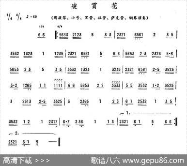 凌霄花