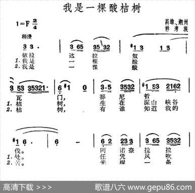 我是一棵酸桔树（台湾排湾族民歌）