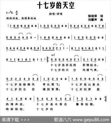 十七岁的天空（独唱+伴唱） - 徐培译|刘磬声