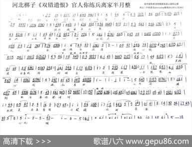 [河北梆子]官人你练兵离家半月整（《双错遗恨》选段）