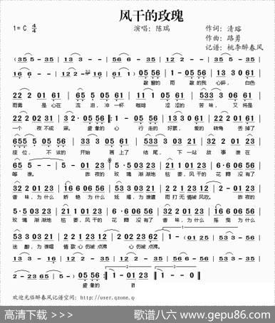风干的玫瑰 - 清瑢|路勇